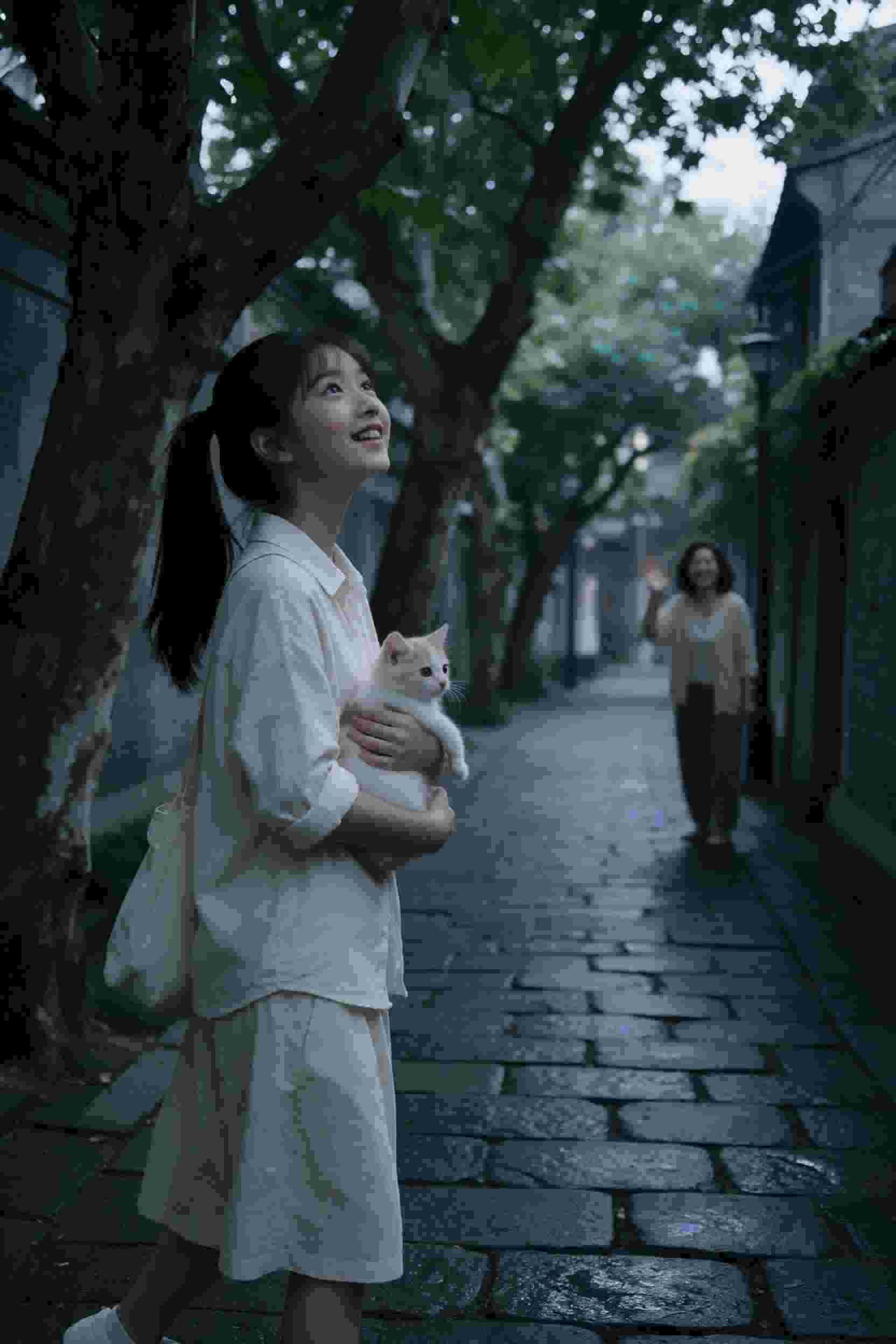 庭院深深